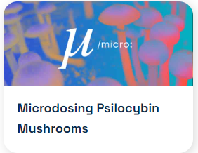 MICRODOSING PSILOCYBIN MUSHROOMS