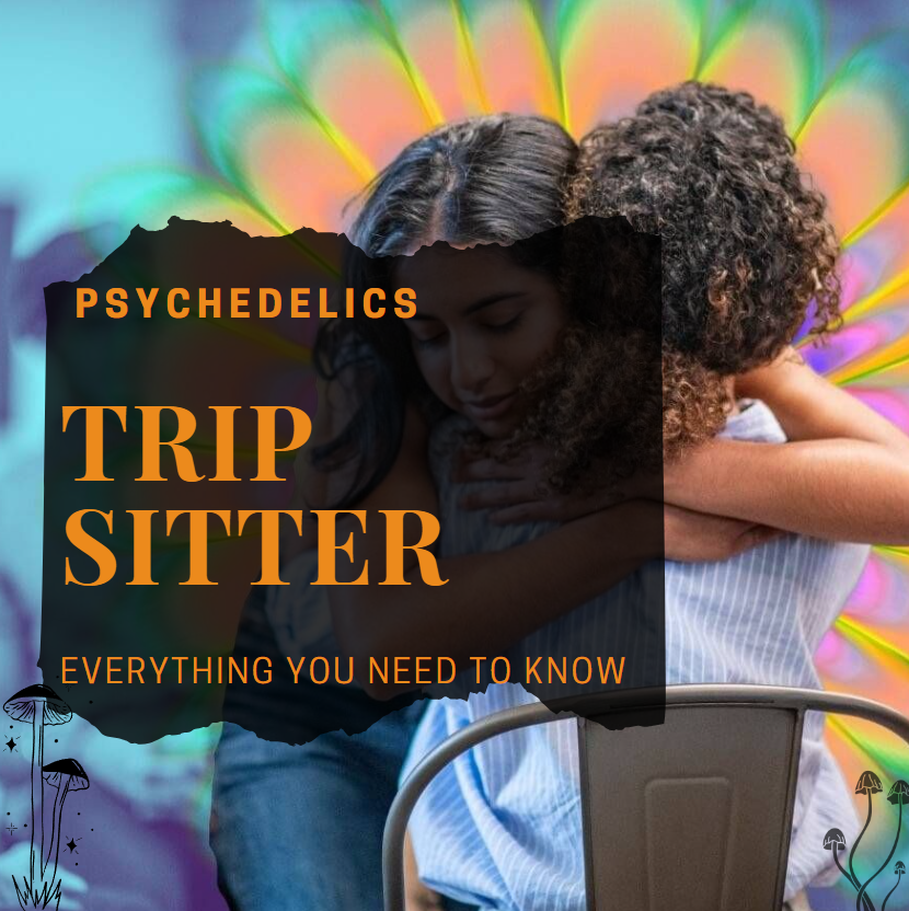 TRIP SITTER: EVERYTHING YOU NEED TO KNOW TO CHOOSE THE RIGHT ONE