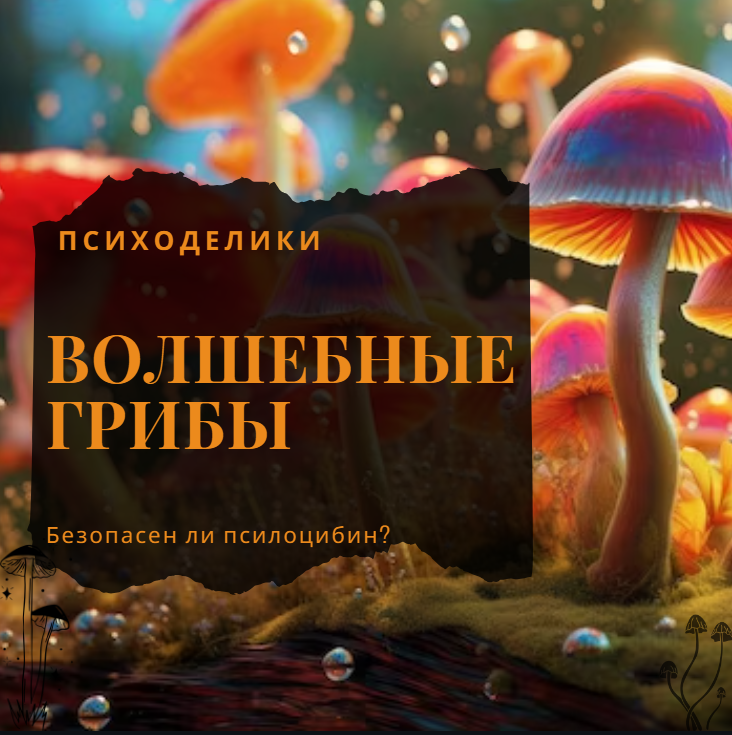 Безопасен ли псилоцибин и волшебные грибы?