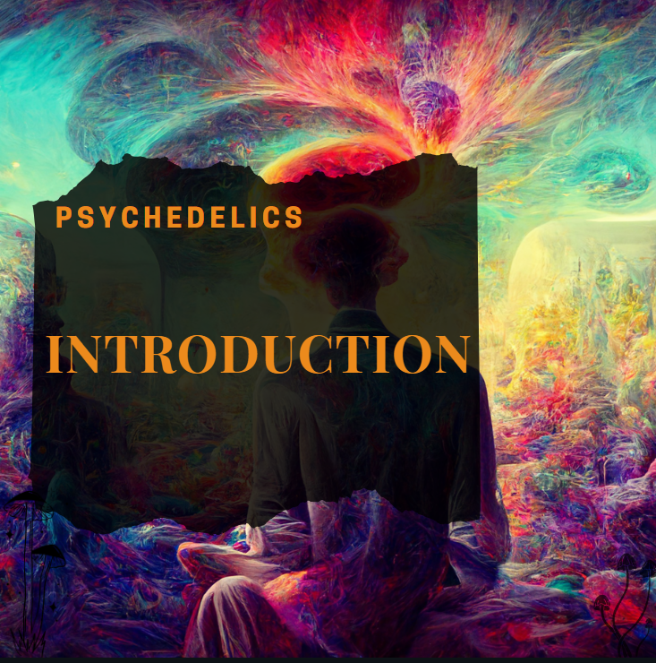 INTRODUCTION TO PSYCHEDELICS