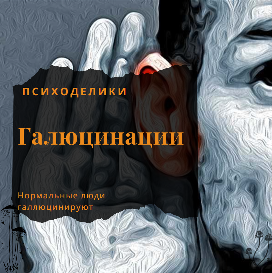 Галлюцинации или духовный опыт. Психоделики и растительная медицина.