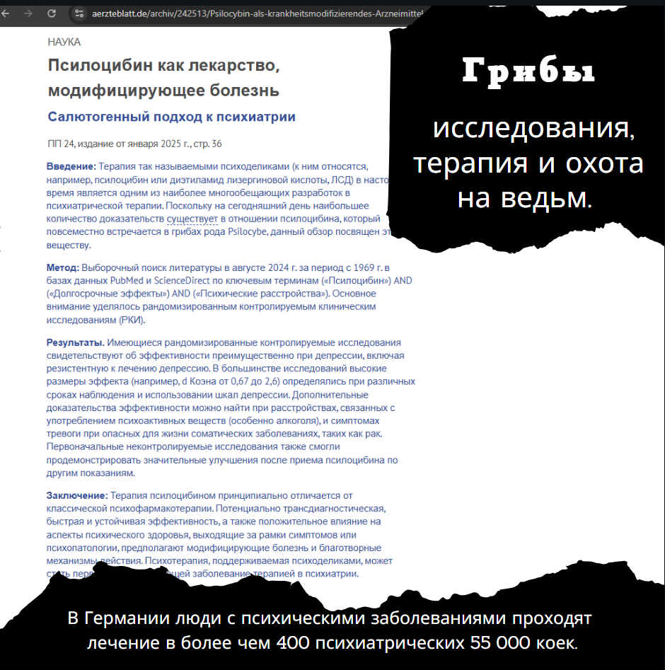 Психоделики, исследования, терапия и охота на ведьм.