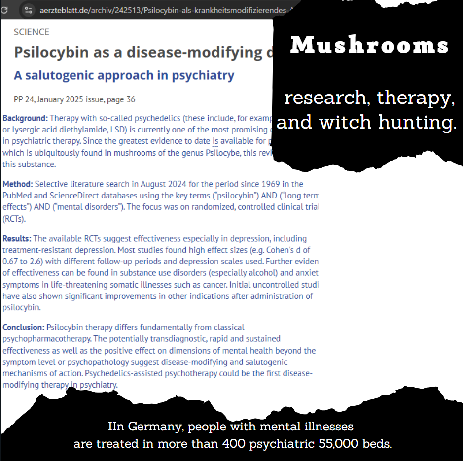 Psychedelics, research, therapy and the witch hunt.