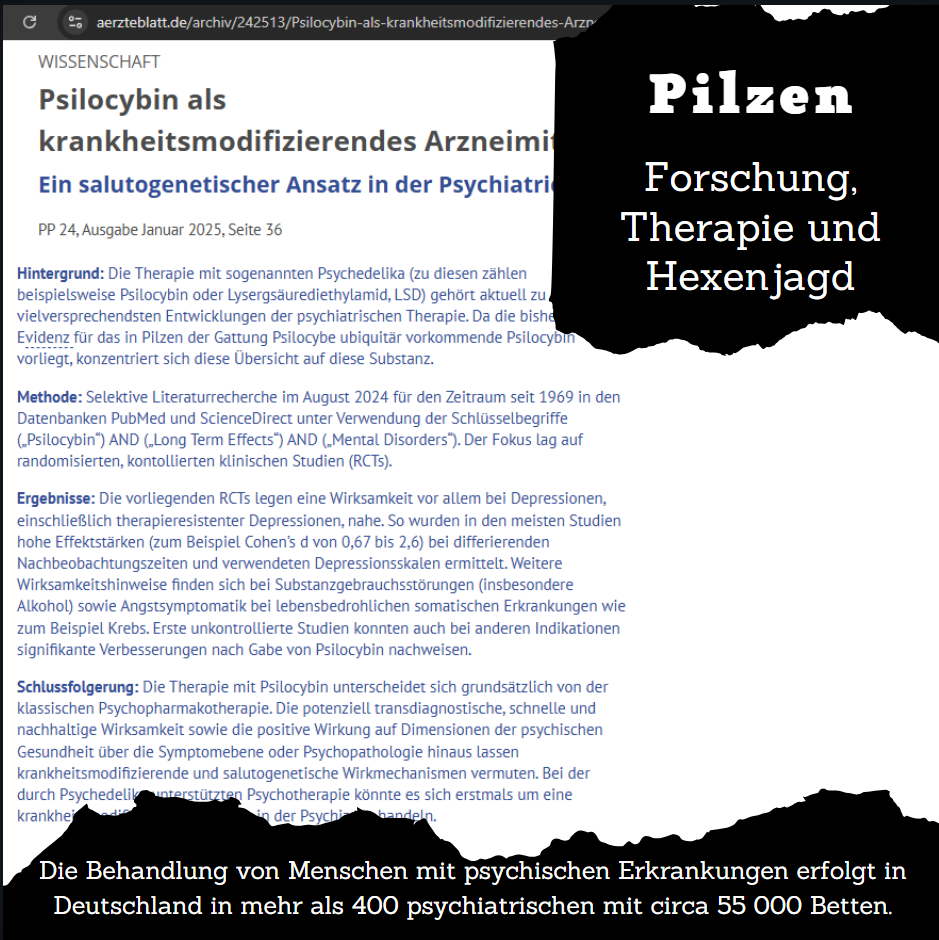 Psychedelika, Forschung, Therapie und Hexenjagd.